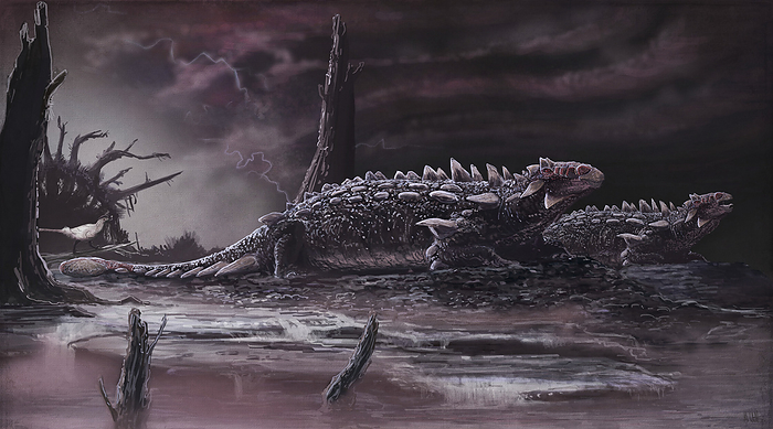 Zuul dinosaurs, illustration Zuul dinosaurs, illustration. These heavily armoured herbivorous ankylosaurs lived around 75 million years ago during the Late Cretaceous. They grew to around 6 metres long.