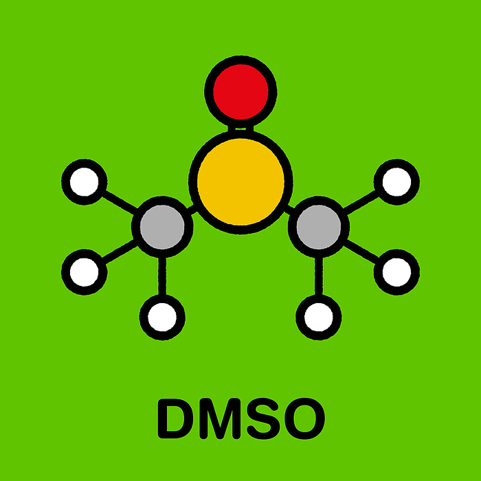 Dimethyl sulfoxide solvent molecule, illustration Dimethyl sulfoxide  DMSO solvent molecule . Stylized skeletal formula  chemical structure : Atoms are shown as color coded circles: hydrogen  white , carbon  grey .