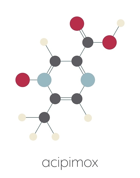 Acipimox hypertriglyceridemia drug molecule, illustration Acipimox hypertriglyceridemia drug molecule. Stylized skeletal formula  chemical structure : Atoms are shown as color coded circles: hydrogen  beige , carbon  grey , nitrogen  blue , oxygen  red .