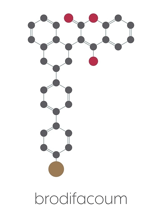 Brodifacoum rodenticide molecule, illustration Brodifacoum rodenticide molecule. Stylized skeletal formula  chemical structure : Atoms are shown as color coded circles: hydrogen  hidden , carbon  grey , oxygen  red , bromine  brown .