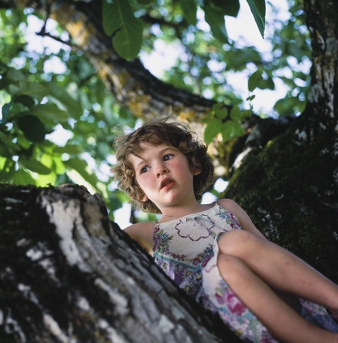 Young Girl Sitting In Walnut Tree. Photo by Toby Adamson / Design Pics