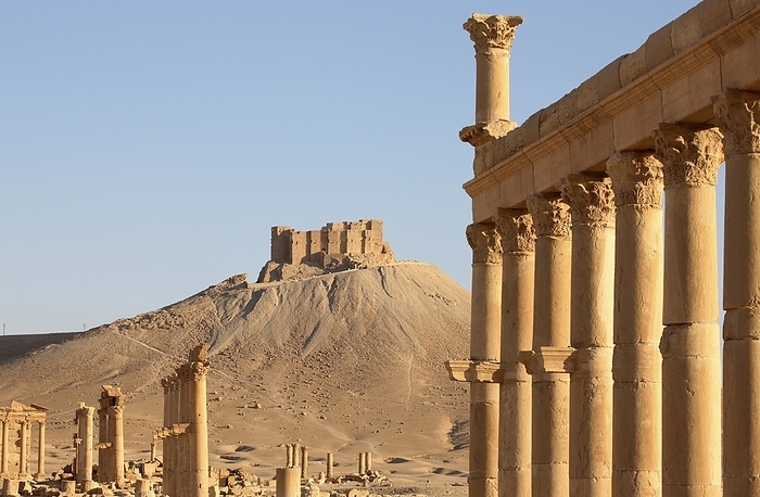 Ancient Ruins Of Palmyra Photo by Chris Caldicott / Design Pics