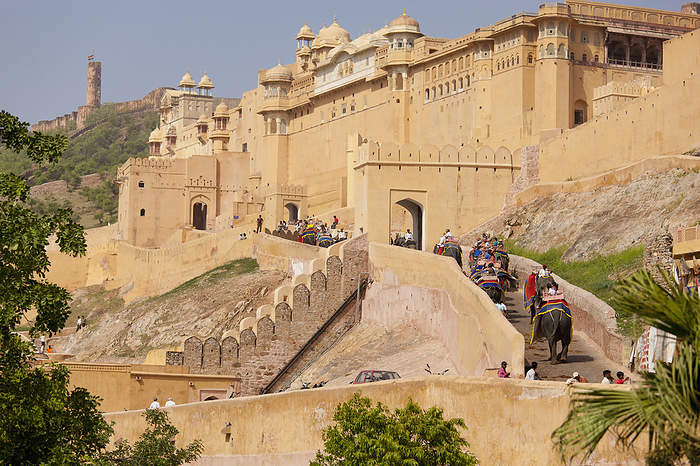 India Riding Elephants At Amer Fort  Jaipur Rajasthan India Photo by Ron Nickel