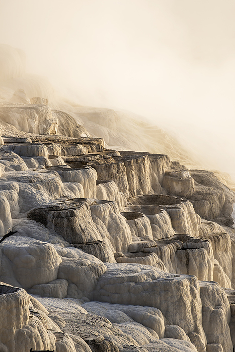 United States of America Morning Light Burns Through Heavy Steam At Mammoth Springs, Yellowstone National Park  Wyoming, United States Of America Photo by Carl Johnson