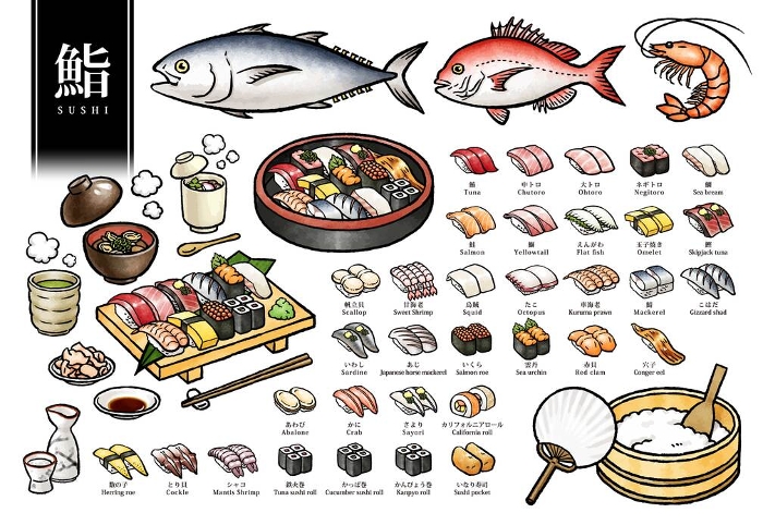 Hand-drawn vector illustration of sushi