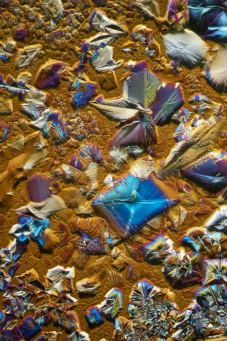 Mixture of crystals, polarised light micrograph Polarised light micrograph of crystals of a mixture of manganese sulphate heptahydrate, ammonium nickel sulphate and copper chloride. Manganese sulphate is used to treat osteoporosis, anemia and premenstrual syndrome. copper  II  chloride is used as a catalyst for organic and inorganic reactions, a mordant for dyeing and printing textiles, a pigment for glass and ceramics, wood preservative, disinfectant, insecticide, fungicide, and herbicide, and as a catalyst in the production of chlorine from hydrogen chloride. The addition of ammonium sulfate to nickel sulfate precipitates a blue coloured solid analogous to Mohr s salt Fe NH4 2 SO4 2 6H2O.