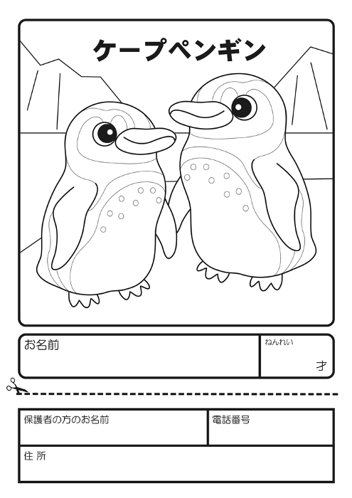 Cape Penguin Coloring Application Form