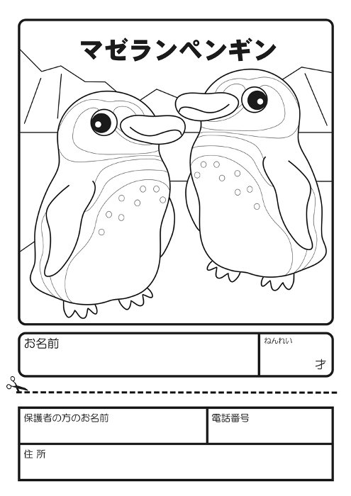 Magellanic Penguin Coloring Application Form