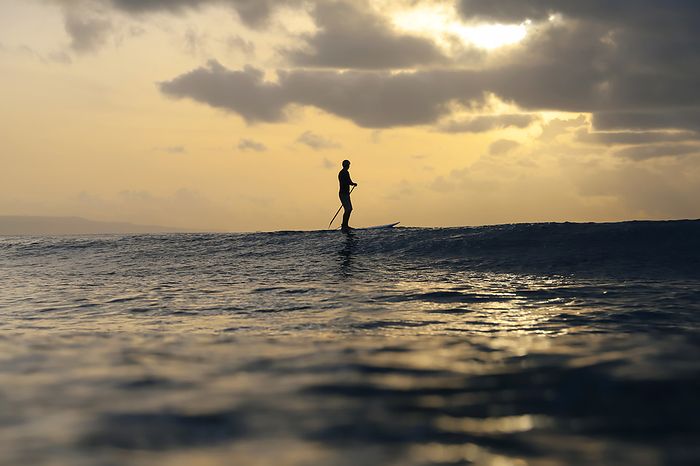 Sup surfer at sunset, Bali, Indonesia