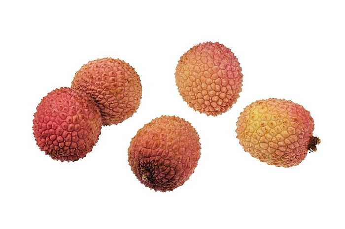 Lychees Lychees  Litchi chinensis . Also known as Litchi, Laichi or Lichu.