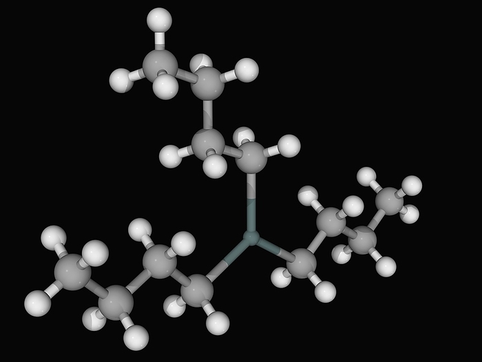 Tributyltin hydride molecule Tributyltin hydride, molecular model. Organotin compound, colourless liquid used as a source of hydrogen atoms in organic synthesis. Atoms are represented as spheres and are colour coded: tin  dark green , carbon  grey  and hydrogen  white .