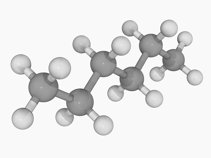 Hexane molecule Hexane, molecular model. Hydrocarbon, significant constituent of gasoline. Widely used as non polar solvent. Atoms are represented as spheres and are colour coded: carbon  grey  and hydrogen  white .