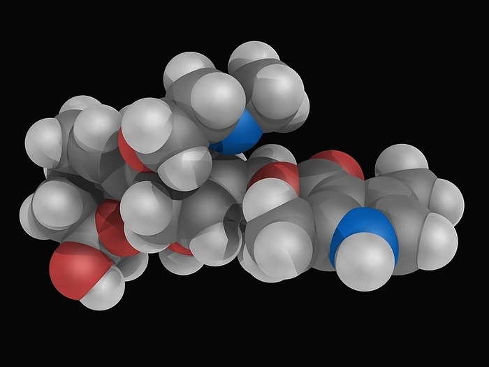 Batrachotoxin poison molecule Batrachotoxin, molecular model. Cardiotoxic and neurotoxic alkaloid found in poison dart frog. Atoms are represented as spheres and are colour coded: carbon  grey , hydrogen  white , nitrogen  blue  and oxygen  red .