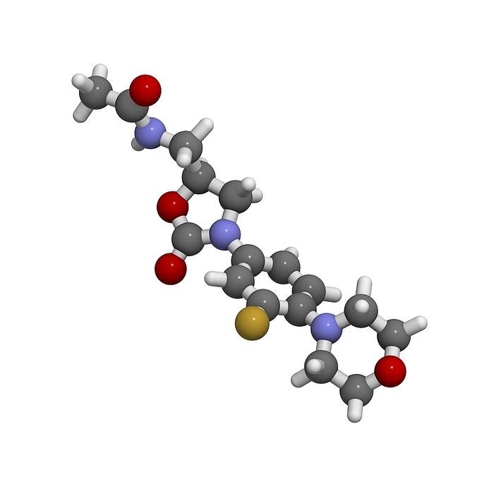 Linezolid antibiotic molecule Linezolid antibiotic molecule. This synthetic antibiotic is used to treat infections that have become resistant to other antibiotics. Atoms are represented as spheres and are colour coded: hydrogen  white , carbon  grey , oxygen  red , nitrogen  blue , sulphur  yellow .