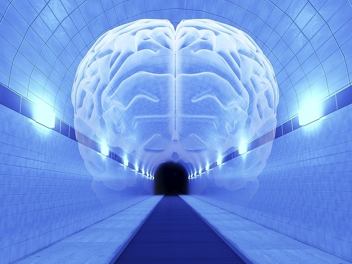 Brain in Tunnel, psychological state Psychological state. Conceptual artwork of a brain in a tunnel. This can represent a person s psychological state, and conditions such as depression, claustrophobia, fear and hysteria.