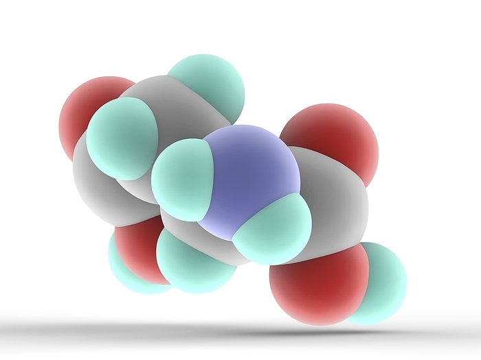 Aspartic acid molecule Aspartic acid molecule. Alpha amino acid nonessential in mammals. Precursor to several amino acids including methionine, threonine, isoleucine and lysine. Atoms are represented as spheres and are colour coded: carbon  grey , hydrogen  blue green , nitrogen  blue  and oxygen  red .