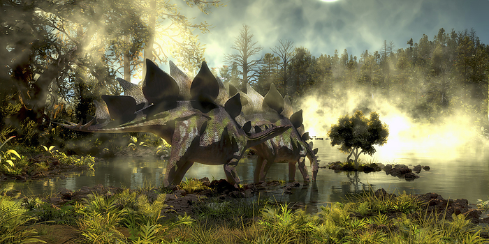Stegosaurus dinosaurs drinking water from a marsh. Stegosaurus dinosaurs drinking water from a marsh.
