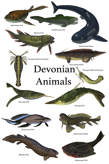 Poster of prehistoric animals during the Devonian period. Poster of prehistoric animals during the Devonian period.