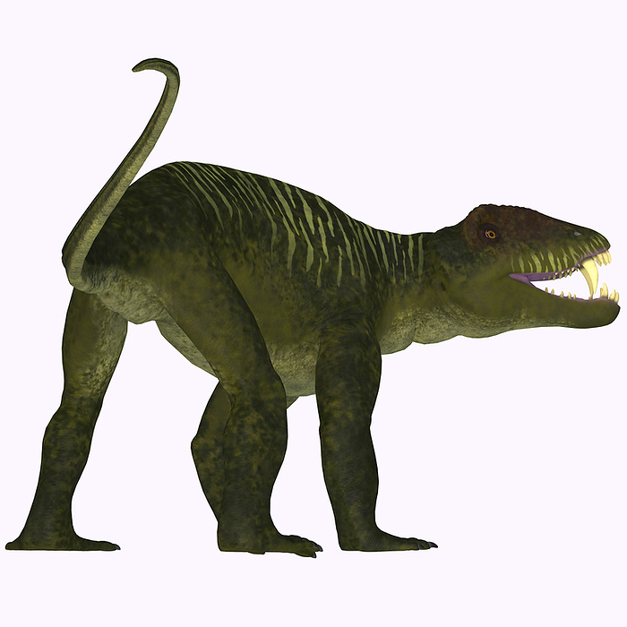 Doliosauriscus dinosaur on white background. Doliosauriscus dinosaur on white background.