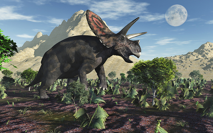 A Torosaurus dinosaur during Earth s Cretaceous period. A Torosaurus dinosaur during Earth s Cretaceous period.