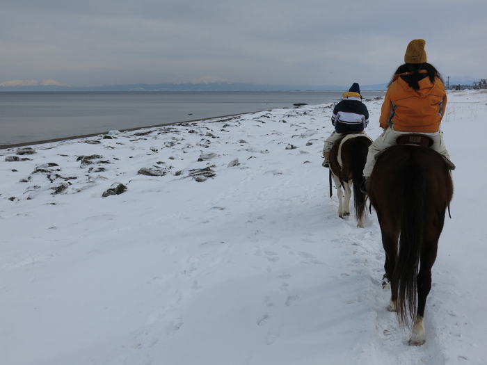 Horse trekking experience in Abashiri during the drift ice season (Sea of Okhotsk and Shiretoko mountain range)