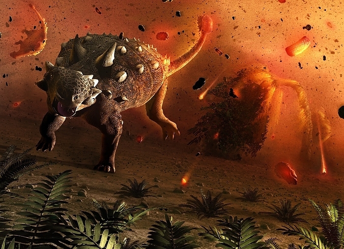 Ankylosaurs caught in blast wave Artwork showing dinosaurs caught in the aftermath of an asteroid impact. The dinosaurs were wiped out 65 million years ago, an event provoked by the impact of a large asteroid or comet with the Earth. The impact of such an object, some 10km across, threw up an enormous amount of debris, blocking out the Sun for months or years. In this depiction, a blast wave moving outwards from the impact site incinerates everything in its path, carrying with it superheated and charred debris. These ankylosaurid dinosaurs  euoplocephalus , weighing several tons each, do not stand a chance against this devastating onslaught, lifted into the air by the powerful wind and burned alive.