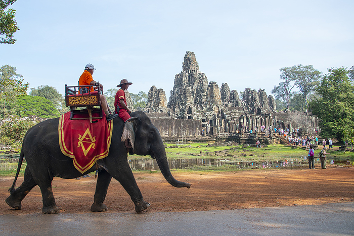 Elephant ride at the Angkor archeological complex, UNESCO Heritage Site, Siem Reap, Cambodia Elephant ride at the Angkor archaeological complex, UNESCO World Heritage Site, Siem Reap, Cambodia, Indochina, Southeast Asia, Asia, Photo by Shanna Baker