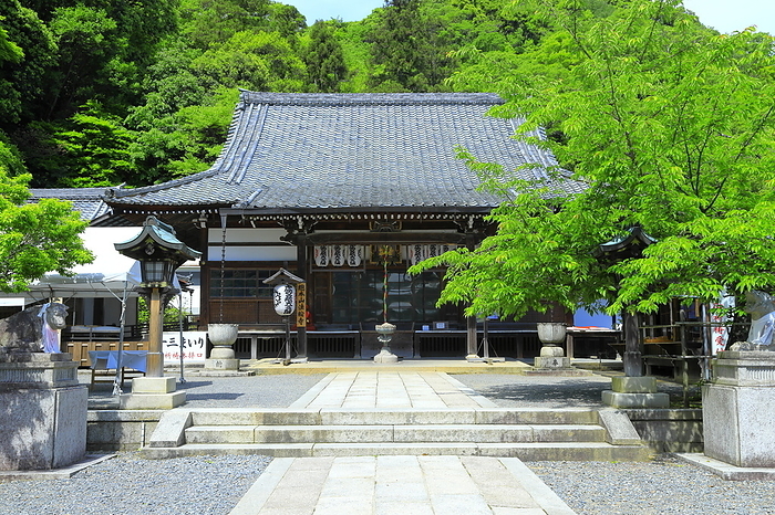KYOTO CITY, KYOTO Prefecture Fresh green of Kokuzo-horinji Temple