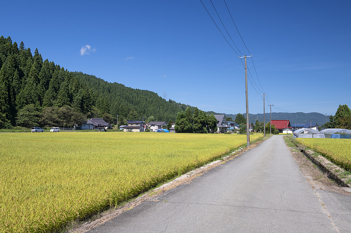 Akinomiya, Yuzawa City, Akita Prefecture This is a neighborhood view of the corresponding area in Akinomiya, Yuzawa City, Akita Prefecture, the birthplace of politician Yoshihide Suga.