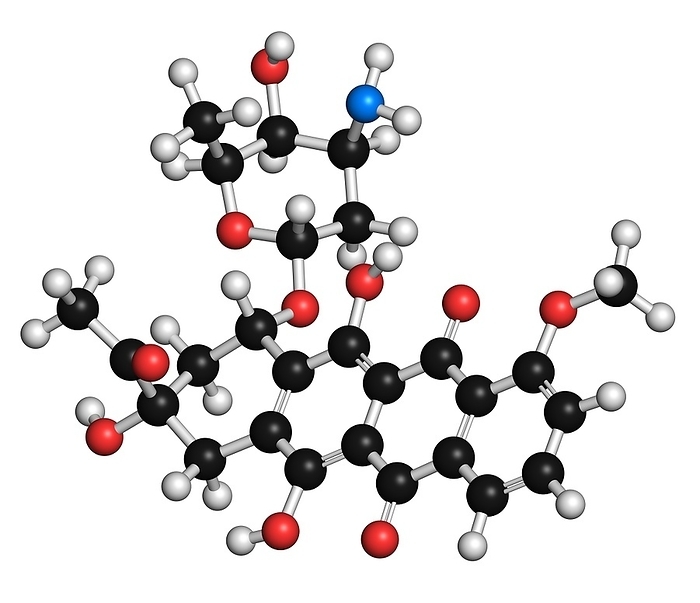 Daunorubicin cancer drug molecule Daunorubicin  daunomycin  cancer chemotherapy drug molecule. Atoms are represented as spheres with conventional color coding: hydrogen  white , carbon  black , oxygen  red , nitrogen  blue .