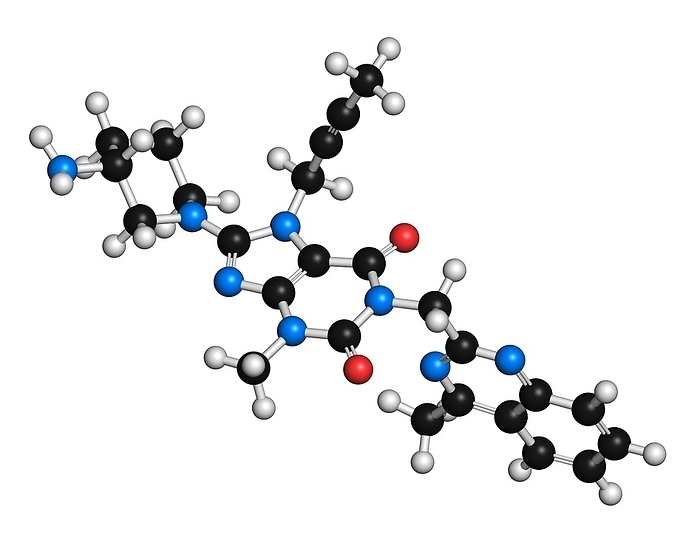 Linagliptin diabetes drug molecule Linagliptin diabetes drug molecule  dipeptidyl peptidase 4 or DPP4 inhibitor . Atoms are represented as spheres with conventional colour coding: hydrogen  white , carbon  black , oxygen  red , nitrogen  blue .