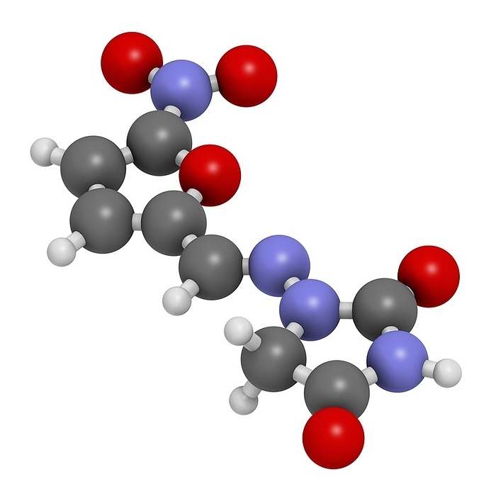 Nitrofurantoin antibiotic drug molecule Nitrofurantoin antibiotic drug molecule. Used to treat urinary tract infections  UTI . Atoms are represented as spheres with conventional colour coding: hydrogen  white , carbon  grey , oxygen  red , nitrogen  blue .