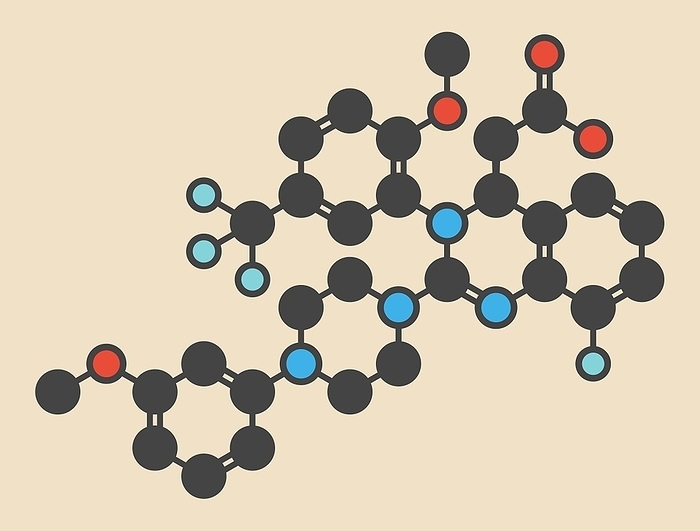 letermovir cytomegalovirus drug molecule letermovir cytomegalovirus  CMV  drug molecule. Stylized skeletal formula  chemical structure . Atoms are shown as color coded circles: hydrogen  hidden , carbon  grey , oxygen  red , nitrogen  blue , fluorine  cyan .