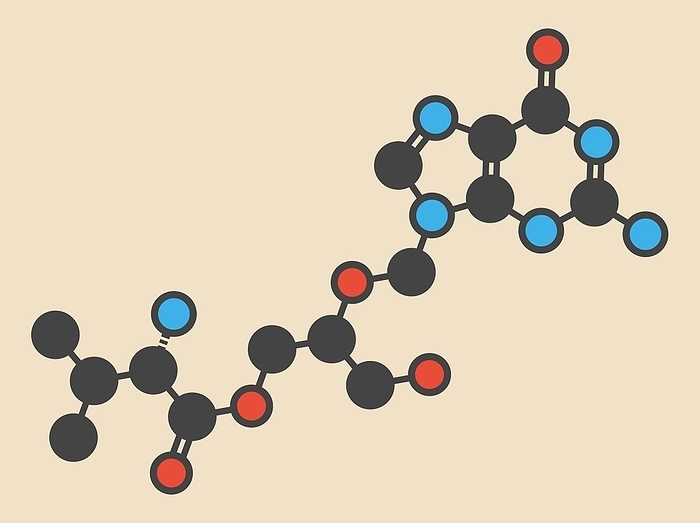 Valganciclovir molecule Valganciclovir cytomegalovirus  CMV, HCMV  drug molecule. Stylized skeletal formula  chemical structure . Atoms are shown as color coded circles: hydrogen  hidden , carbon  grey , nitrogen  blue , oxygen  red .