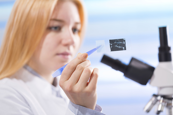 Lab technician holding microscope slide Female lab technician holding microscope slide.