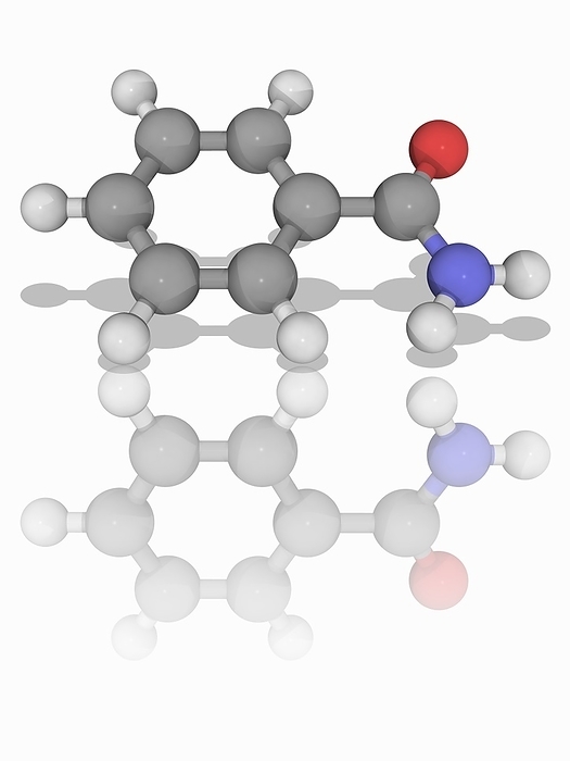 Benzamide organic compound molecule Benzamide. Molecular model of the organic compound benzamide  C7.H7.N.O . This is a derivative of benzoic acid, with an amide functional group replacing the hydroxyl functional group. Benzamide is used as a starting point for a wide range of aromatic organic. Atoms are represented as spheres and are colour coded: carbon  grey , hydrogen  white , nitrogen  blue , and oxygen  red . Illustration.