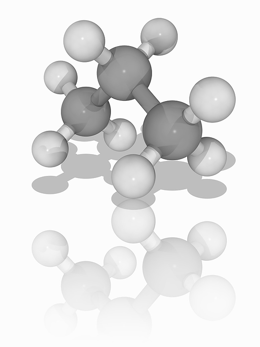 Propane organic compound molecule Propane. Molecular model of the alkane and hydrocarbon propane  C3.H8 . This organic compound is a by product of natural gas processing and petroleum refining. It is commonly used as a fuel. Atoms are represented as spheres and are colour coded: carbon  grey  and hydrogen  white . Illustration.
