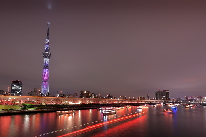 Tokyo Sky Tree and Sumida River Night view of the light trail of a hanami houseboat