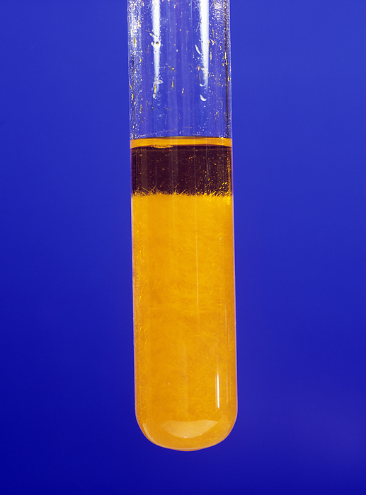 Brady s reagent Brady s reagent  2,4 dinitrophenylhydrazine  reacting with propanone in a test tube. Brady s reagent is used to indicate the presence of aldehydes or ketones in solutions. In the presence of aldehyde or ketone groups, yellow crystalline hydrazone derivatives form. This is a late stage of the reaction, for an early stage see A500 531.