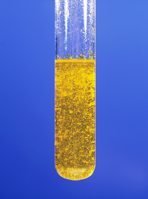 Brady s reagent Brady s reagent  2,4 dinitrophenylhydrazine  reacting with ethanal in a test tube. Brady s reagent is used to indicate the presence of aldehydes or ketones in solutions. In the presence of aldehyde or ketone groups, yellow crystalline hydrazone derivatives form. This is an early stage of the reaction, for a later stage see A500 530.