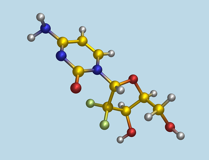 Chemotherapy drug molecule Chemotherapy drug. Computer model of a molecule of the intravenous chemotherapy drug gemcitabine. Atoms are represented as spheres and are colour  coded: carbon  yellow , hydrogen  white , oxygen  red , nitrogen  blue  and fluorine  green . Gemcitabine  brand name Gemzar  is used to treat non small cell lung cancer, pancreatic, bladder and breast cancers. It belongs to a family of drugs known as antimetabolites. These drugs closely resemble a substance, or metabolite, that is essential for a cell s normal biochemical reactions. By replacing the metabolite, the drug prevents the cells from growing or reproducing.