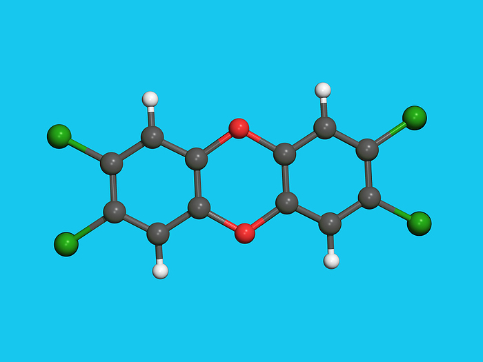 Dioxin Dioxin. Computer artwork of a molecule of the dioxin 2,3,7,8 tetrachlorodibenzo p dioxin  TCDD . Atoms are represented as spheres and are colour  coded: carbon  grey , chlorine  green , hydrogen  white  and oxygen  red . Dioxins are a family of toxic by products of a number of industrial processes, including burning waste, heating metals and bleaching paper and textiles. They have no industrial use themselves. They are persistent organic pollutants  POPs  and build up over time in living tissue  bioaccumulation . Long term high level exposure can cause birth defects, cancer and a higher risk of diabetes. TCDD is one of the most toxic of the dioxins.