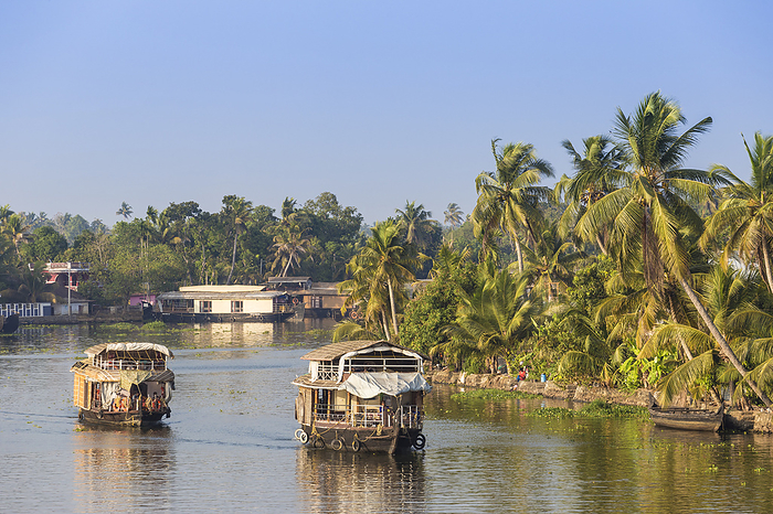 India, Kerala, Alappuzha  Alleppey , Houseboats on backwaters Houseboats on Backwaters, Alappuzha  Alleppey , Kerala, India, Asia, Photo by Jane Sweeney