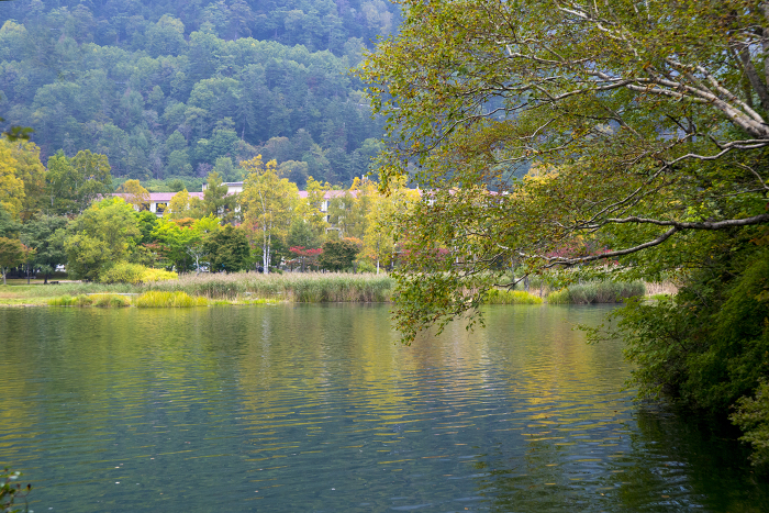 Japan's greatest treasure: Nikko Yumoto's Yunoko Round-the-lake Hiking Course