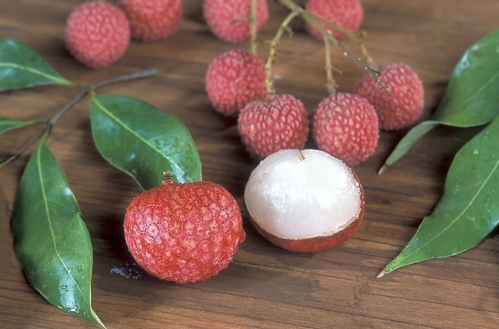 Lychee  Litchi chinensis  fruit Lychee  Litchi chinensis  fruit. Lychees have been cultivated in China for nearly 4000 years. They need to be peeled  right  before they are eaten.