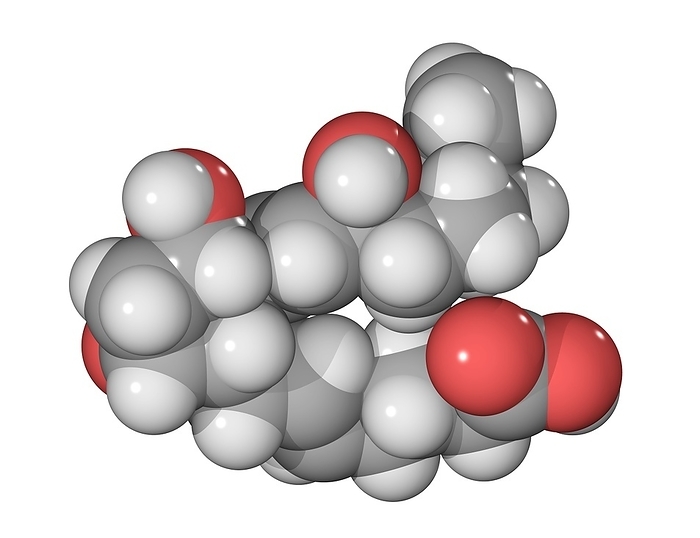 Prostaglandin F2a molecule Prostaglandin F2a molecule. Computer model showing the structure of the hormone prostaglandin F2a  PGF2a . Atoms are colour coded  carbon: dark grey, hydrogen: light grey, oxygen: red . Like other prostaglandins PGF2a acts to widen blood vessels  vasodilation , thus lowering blood pressure and improving blood flow. It is produced by the uterus, where it triggers the breakdown of the corpus luteum  luteolysis  if no embryo has been implanted, and stops the production of progesterone. It is therefore marketed as a drug used to induce abortion  an abortifacient  when it is known as Dinoprost.