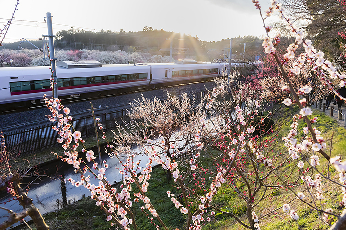 Kairakuen Garden and the Joban Line Limited Express Hitachi-shi, Mito City, Ibaraki Prefecture