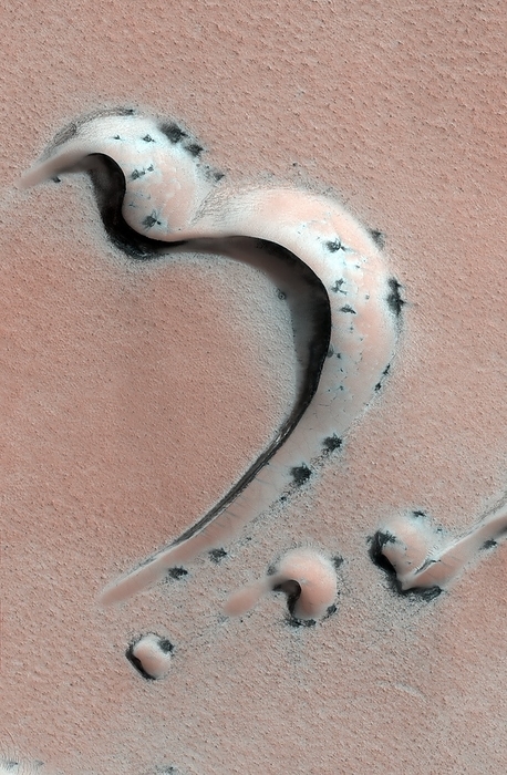 Martian sand dunes, satellite image Martian sand dunes. Coloured satellite image of sand dunes in the north polar region of Mars. The sand has been blown into crescent and dome shapes by the wind. Dark coloured patches are areas where the surface layer of carbon dioxide frost has sublimated  turning from sold directly to gas  and exposed the basaltic layer beneath. Image obtained by the High Resolution Imaging Science Experiment  HiRISE  camera on NASA s Mars Reconnaissance Orbiter  MRO  on 30th January 2008. The width of this image is roughly 1.2 kilometres across.