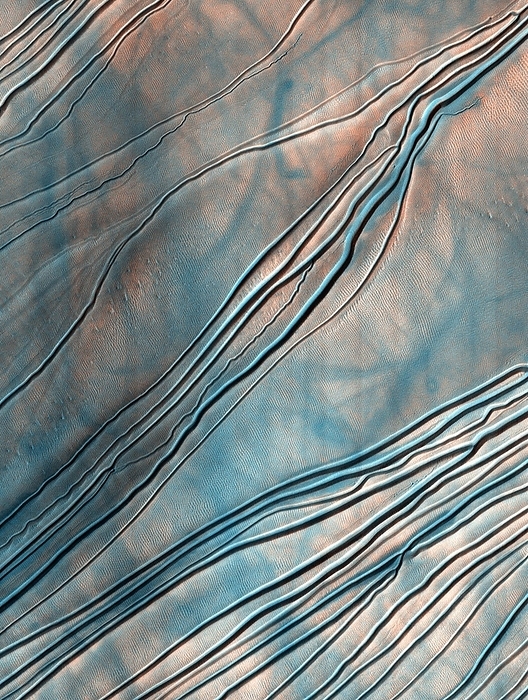 Gullies on a martian sand dune Gullies on a Martian sand dune. Coloured satellite image of gullies on a sand dune within Russell Crater, Mars. The source of the gullies is not known. They may have been carved in the past by liquid water, or may be a result of recent landslides. The surface also has faint tracks which were created by martian dust devils that lifts off the surface dust to reveal darker sand beneath. Image obtained by the High Resolution Imaging Science Experiment  HiRISE  camera on NASA s Mars Reconnaissance Orbiter  MRO  on 16th May 2009. The width of this image is roughly 1.2 kilometres across.