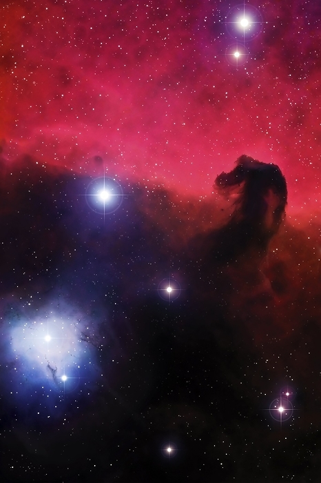 Horsehead Nebula, artwork Horsehead Nebula. Computer artwork of the Horsehead Nebula  Barnard 33 , 1600 light years away in the constellation of Orion. North is at left. The horsehead shape, several light years across, is formed by an intrusion of dust into the emission nebula IC 434  red . The red glow from this nebula is due to the ionisation of hydrogen by radiation from nearby stars. A reflection nebula  blue, NGC 2023  is seen at lower left.
